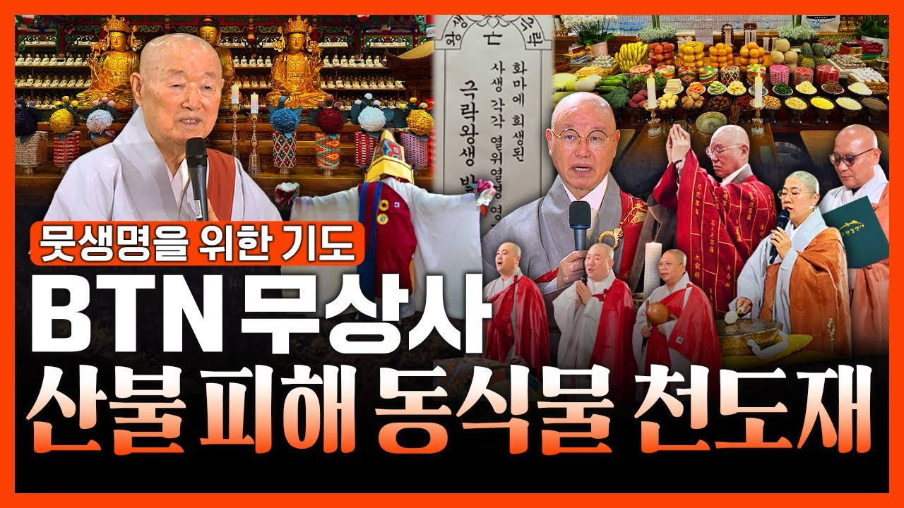 BTN불교TV 무상사에서 열린 세상에서 가장 특별한 천도재 - 뭇생명을 위한 기도 | #산불 피해 동식물 #천도재