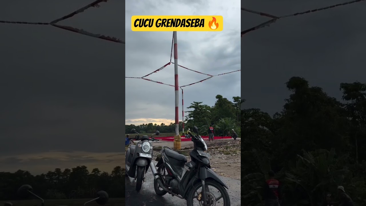 Cucu Grendaseba 🔥 #teamkenwood #merpati #merpatikolong #kenwoodteam #jayabaya #garongjr