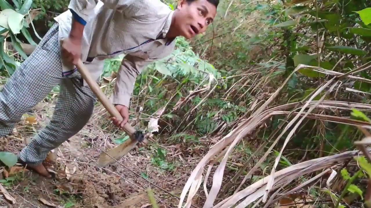 #Rubber hwlai mani tini chwng# chini kaka ni rubber #