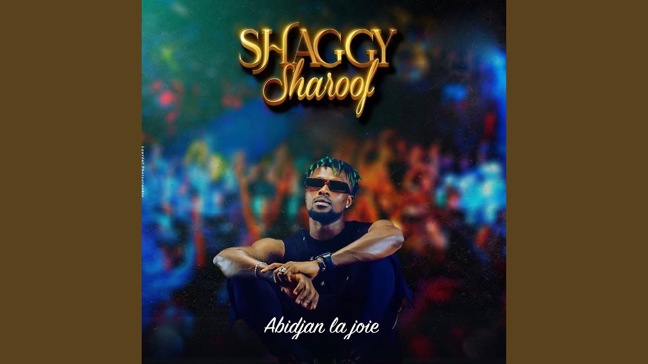 Élément dangereux - Shaggy Sharoof
