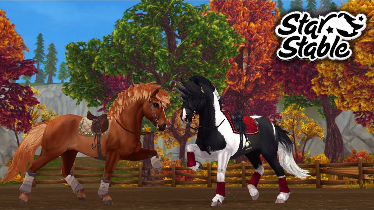 Achat de 2 islandais pour le Black Friday ! - [Star Stable]