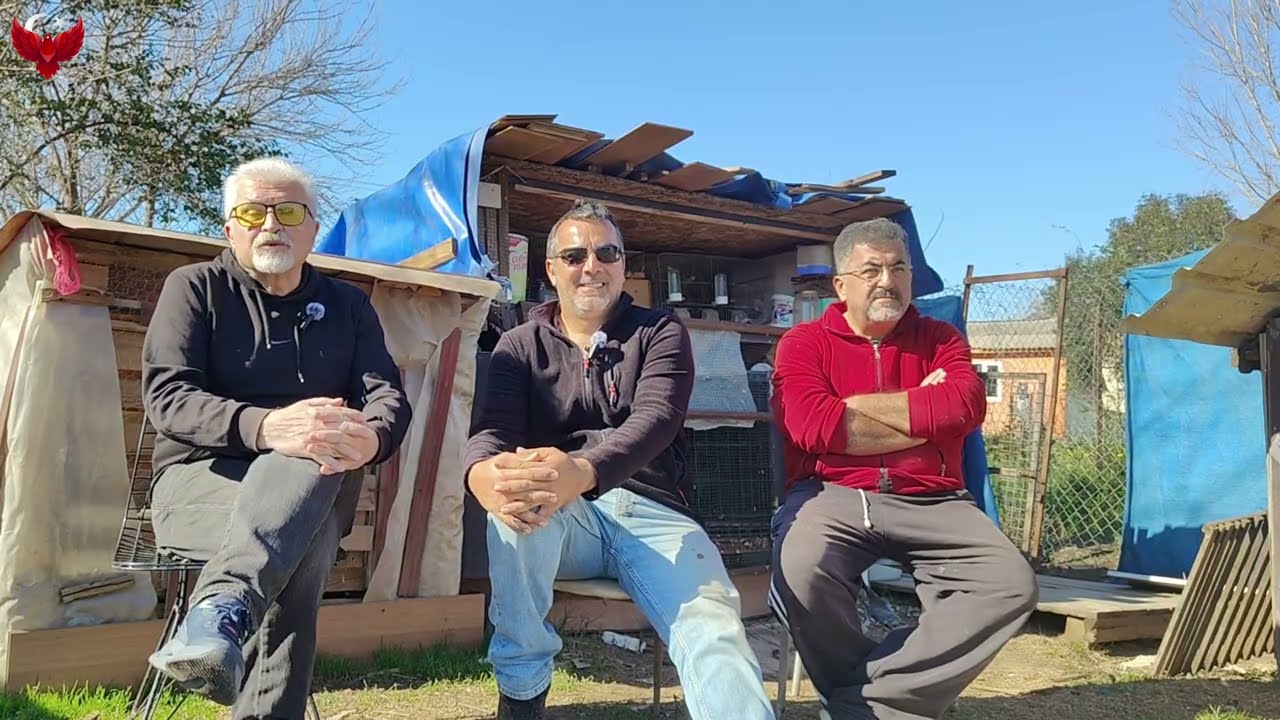 ANKARALI ESKİ KUŞÇULARDAN METİN ABİ ZİYARETİME GELDİ ESKİLERDEN BAHSETTİK KUŞ İZLEDİK.