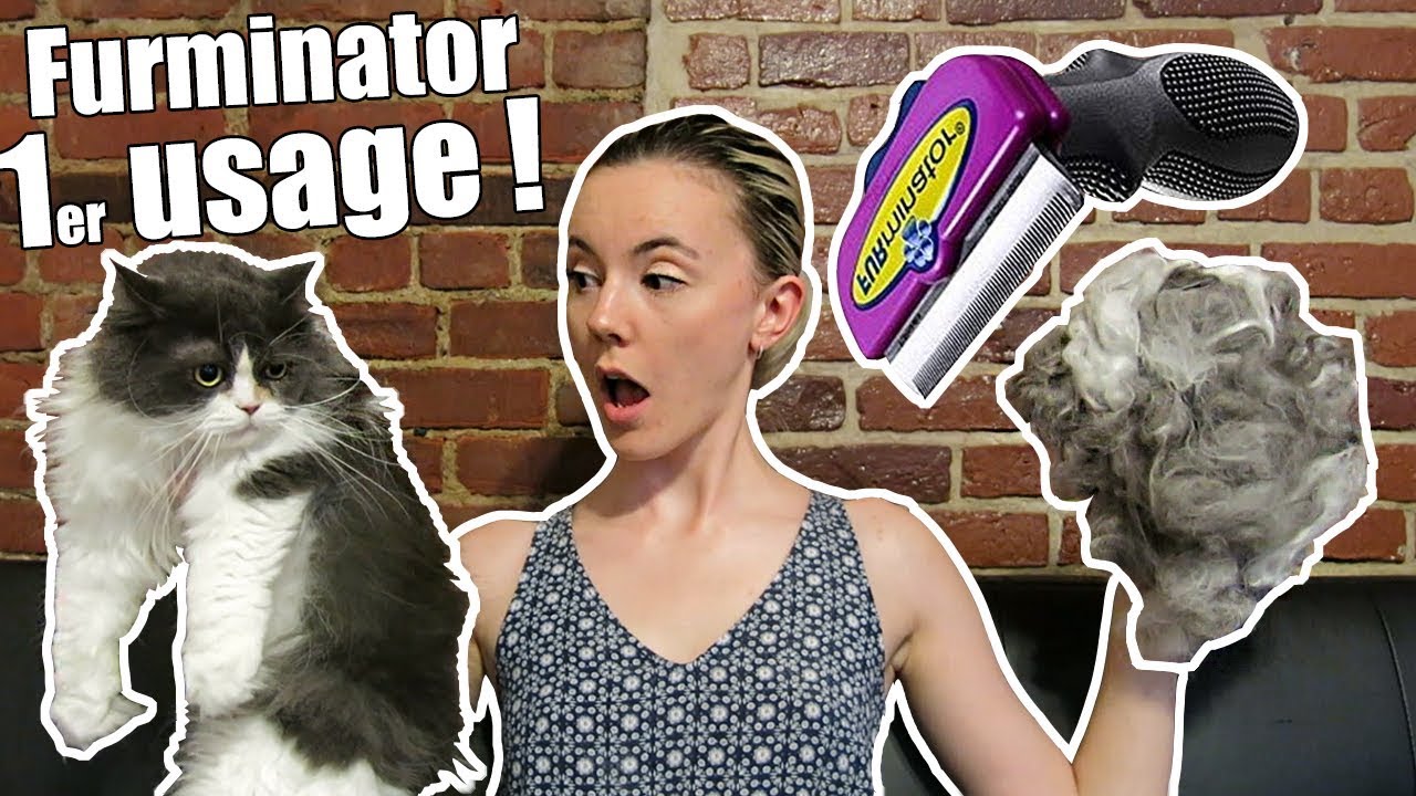 FURMINATOR REVIEW