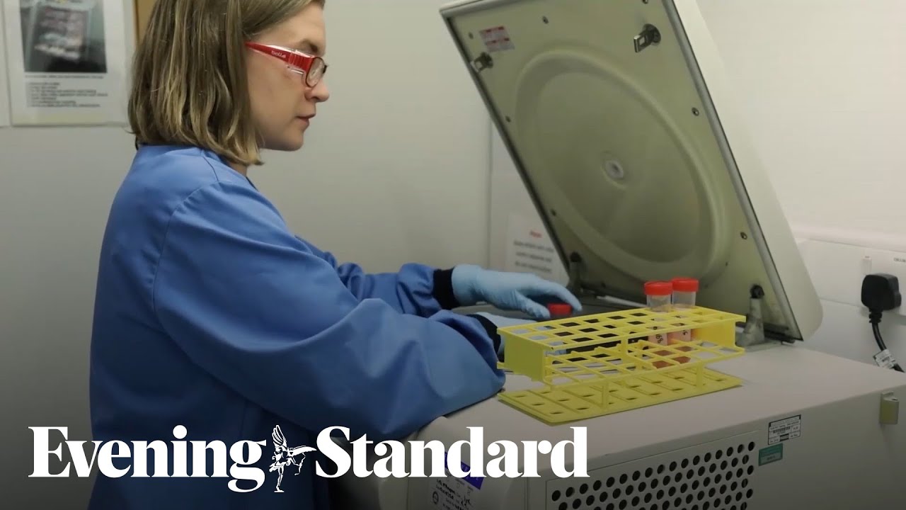 How does the AstraZeneca/Oxford vaccine work?