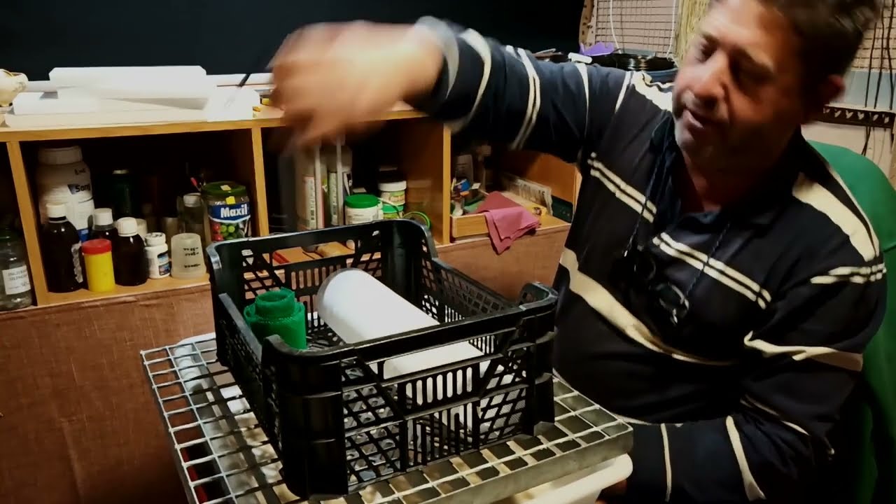 Como hacer Bonsai en coladores ,caja de cultivo para engordar y enraizar arboles.