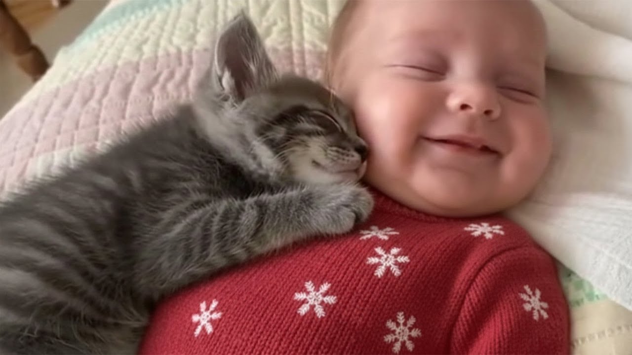 Adorable Kittens and Baby Sleeping Together 😴😻 Cutest Wholesome Moments