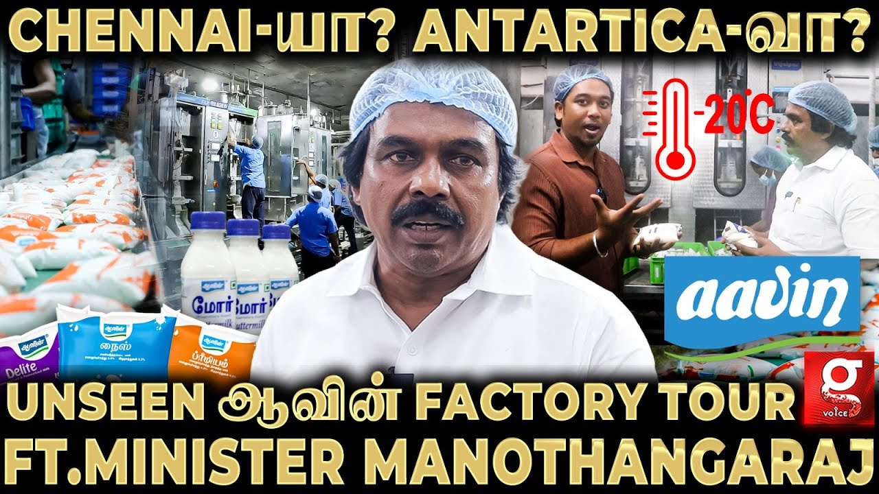🔴ஒரே நாளில் 1000கிலோ Paneer, 15000கிலோ பால்கோவா😍Aavin Milk Factory Tour ft. Minister Manothangaraj🔥