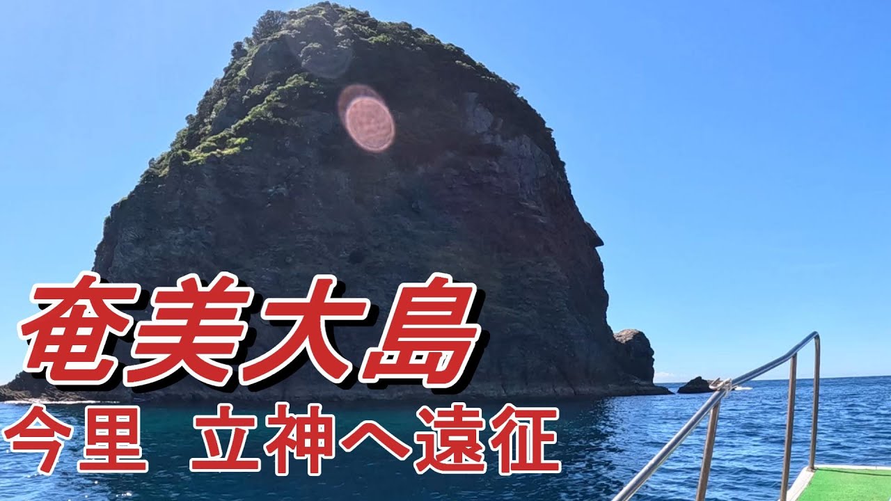 アラ【クエ】遂に遠征！鹿児島県奄美でアラを狙う‼