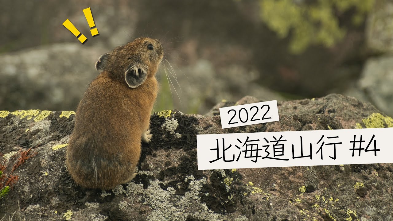 北海道山行#4 ナキウサギに会える!! 然別湖北岸野営場から白雲山登山 4K