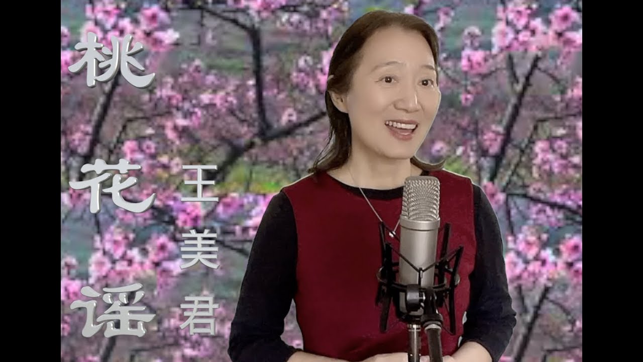 《桃花谣》王美君演唱   美声 民族 通俗完美结合运用 清心淡雅，彷彿漫步在桃花源中。