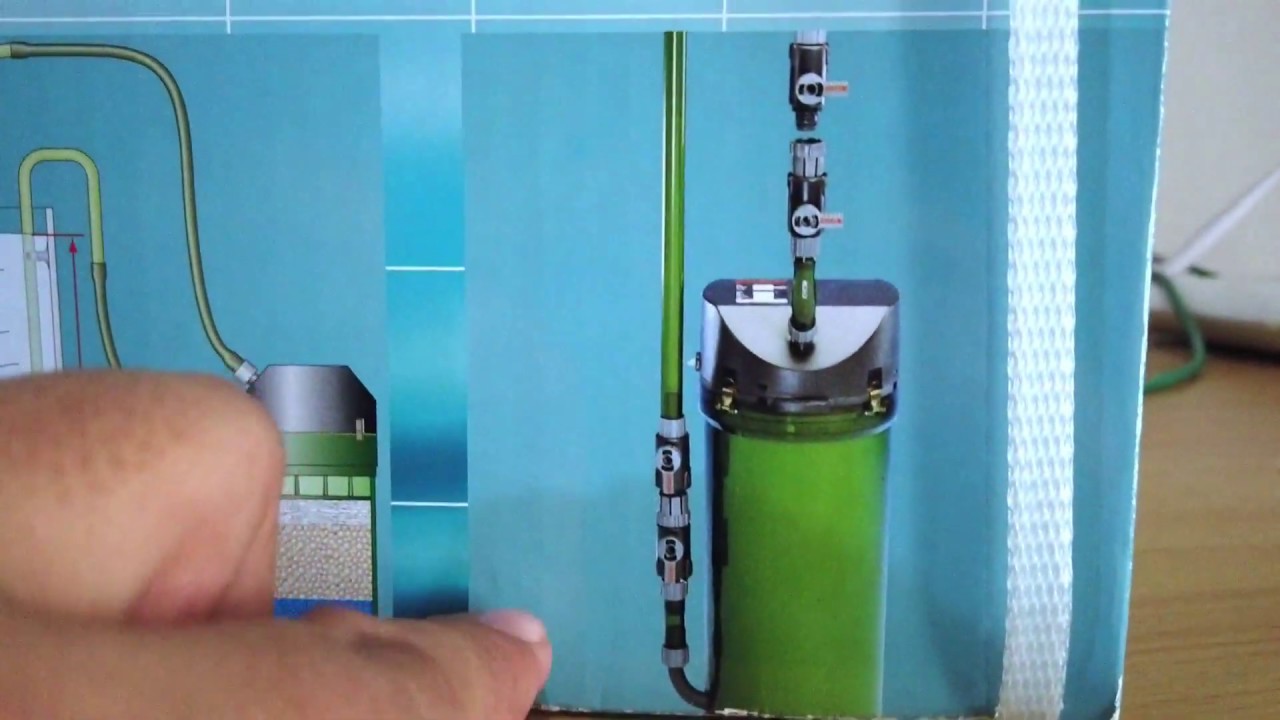 Review Eheim Classic 350 Eksternal Canister air Sejernih kristal💖💖💖