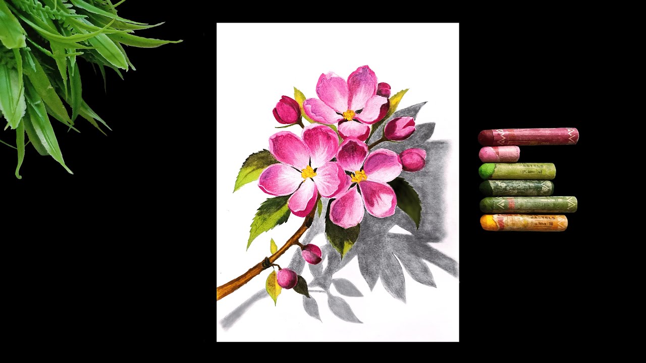 Drawing Cherry Blossom With Oil Pastels @gitanjalicreativeaura
