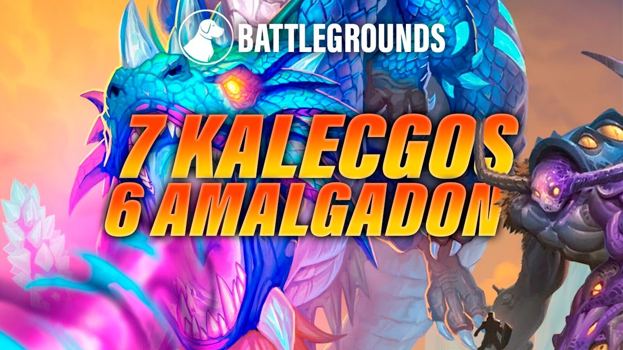 7 Kalecgos, 6 Amalgadon | Dogdog Hearthstone Battlegrounds