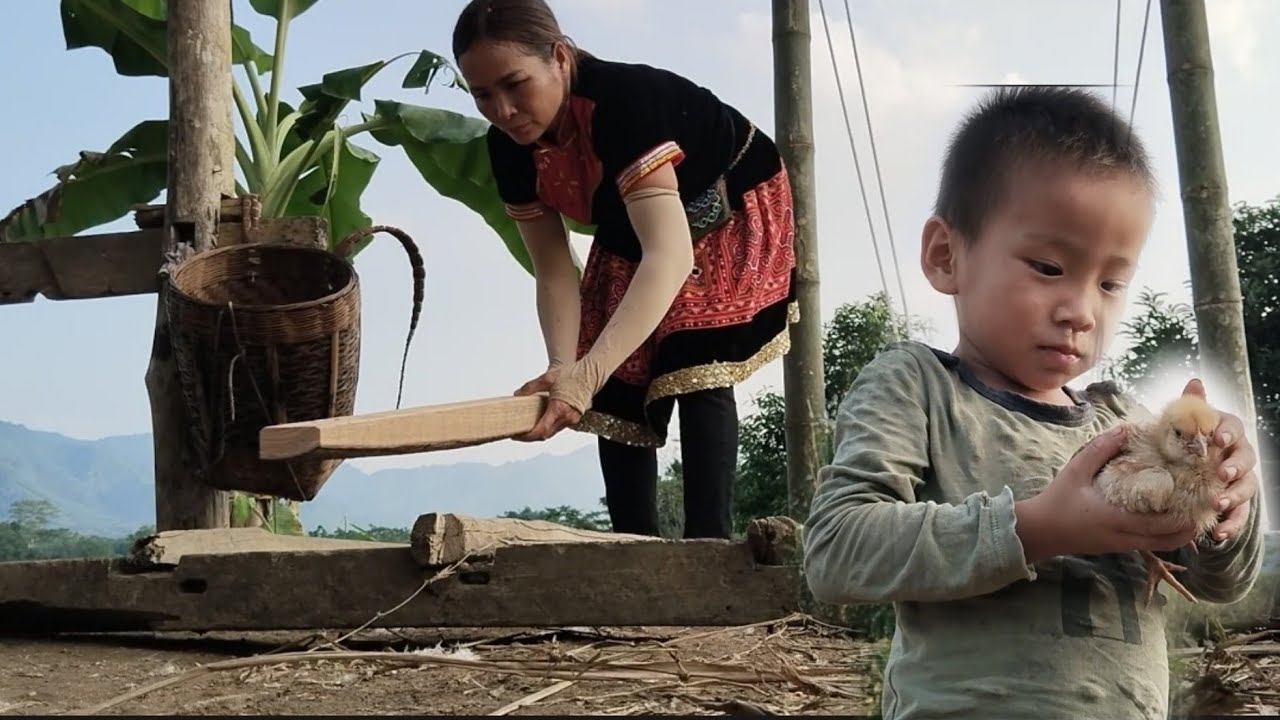 Отремонтируйте лестницу и стены дома. урожай кукурузы на продажу | Тиу Ви - Повседневная жизнь|