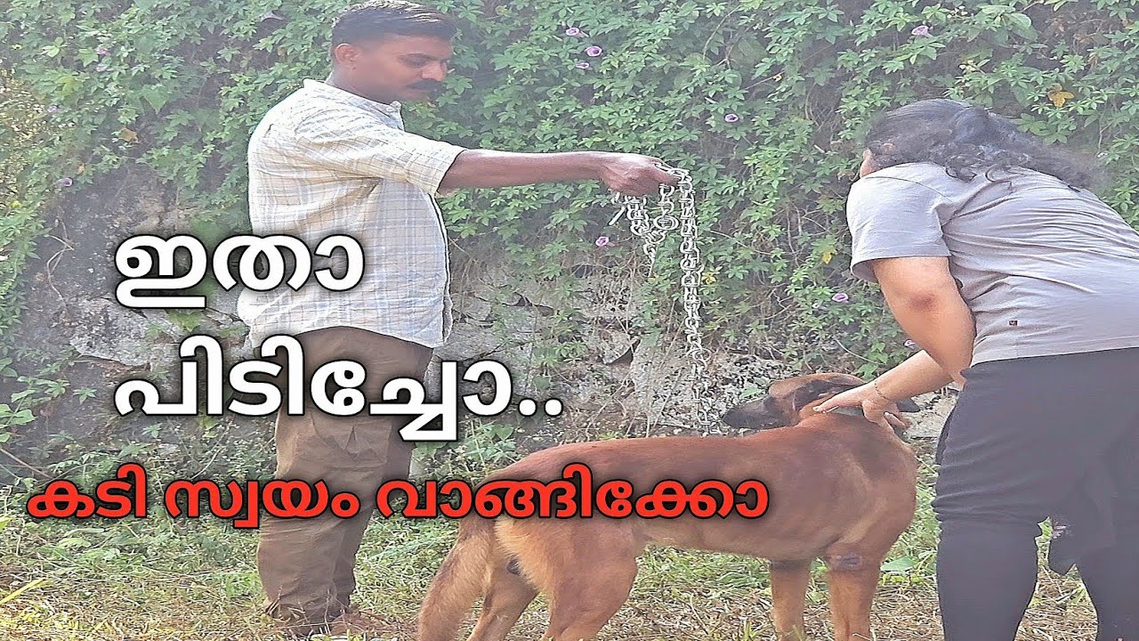 എടാകൂടത്തിൽ ആണല്ലോ പെട്ടത്.. leash talks