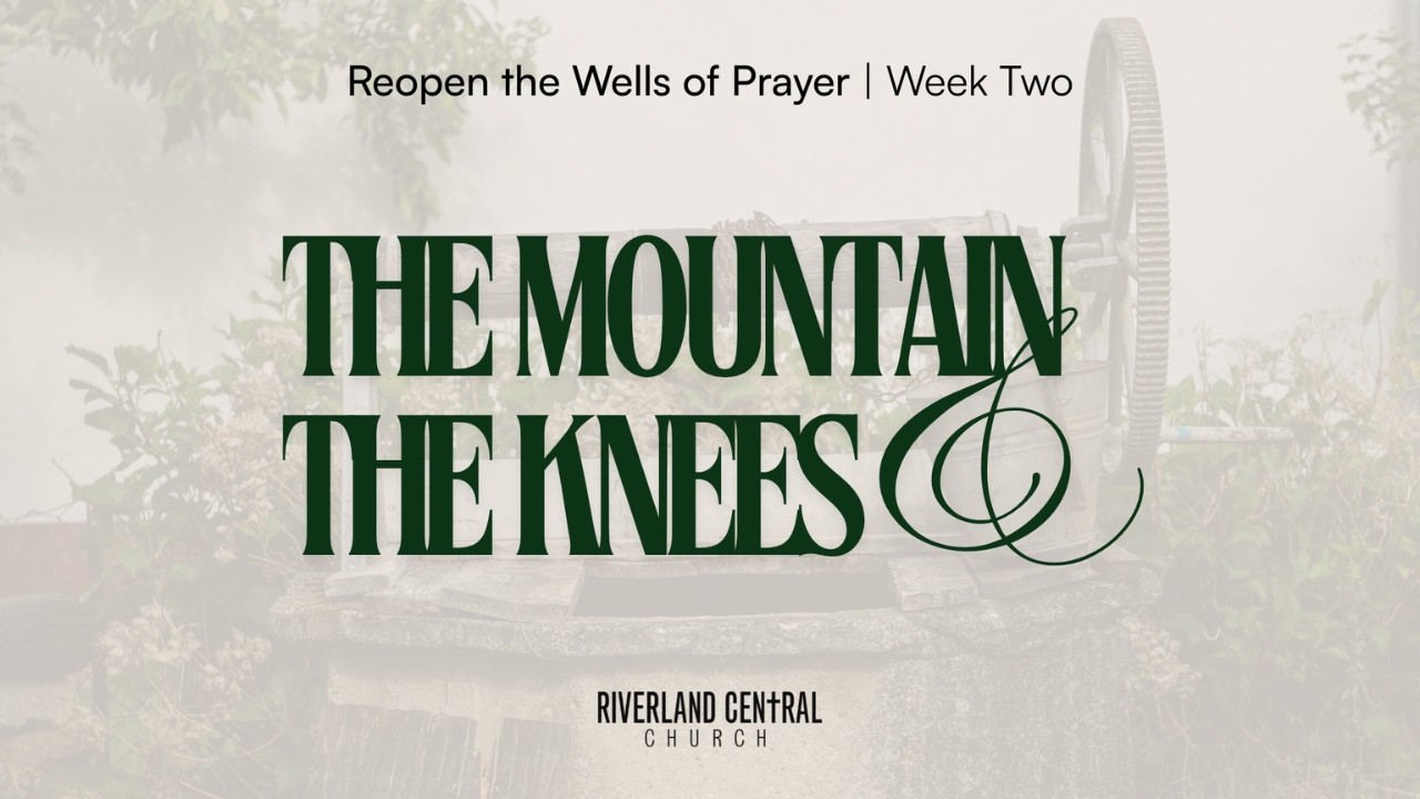 The Mountain & The Knees | Pastor Jordan Wakelin