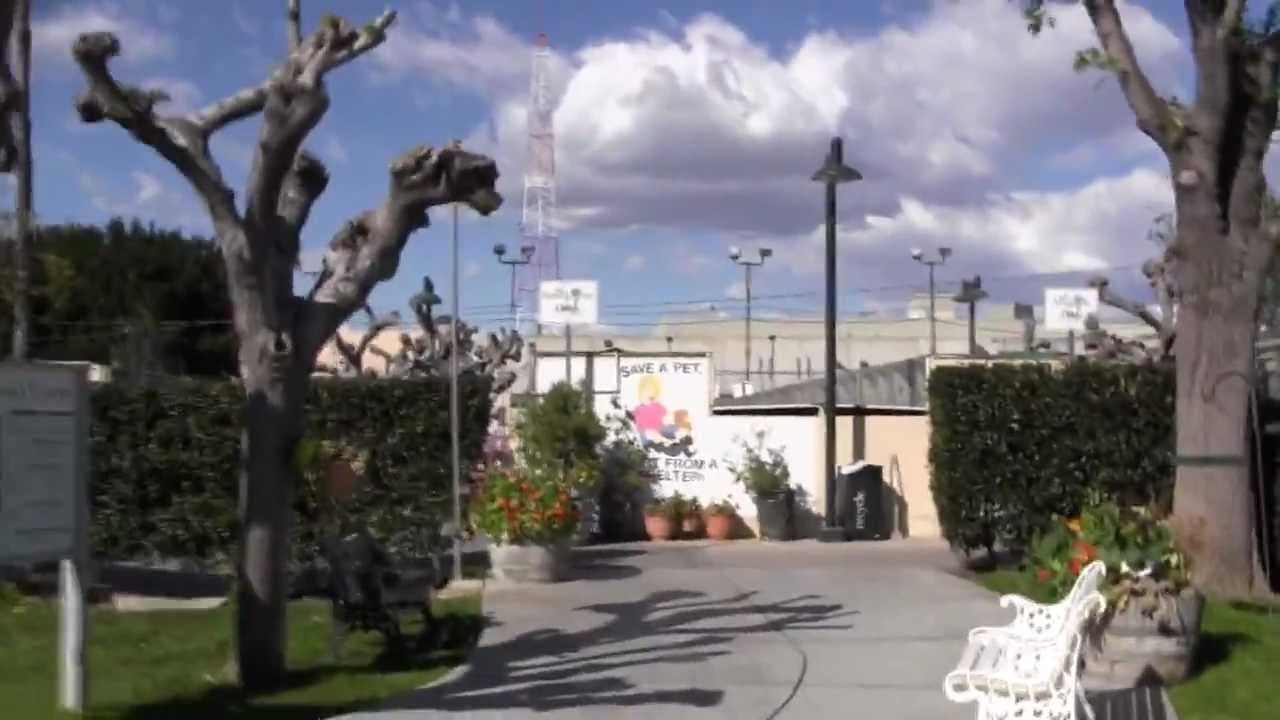 OC Animal Shelter
