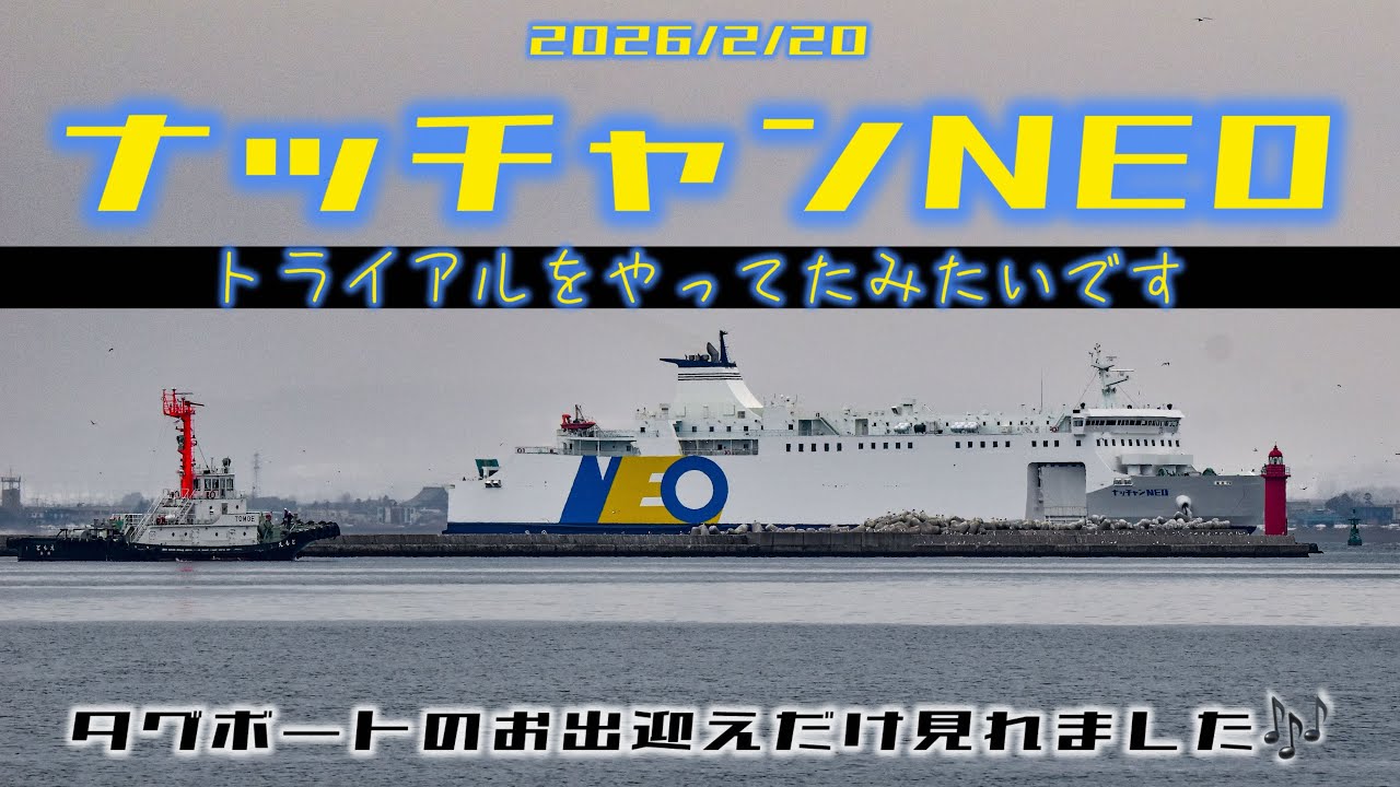 ナッチャンNEOトライアル？見逃す【2分】2026/2/20