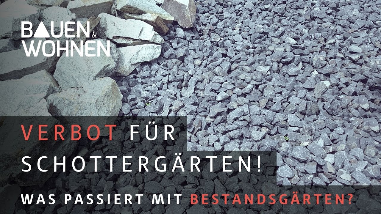 SCHOTTERGARTEN Verbot! M&uuml;ssen G&auml;rten zur&uuml;ckgebaut werden? Klimaschutz statt Steinw&uuml;ste im Garten