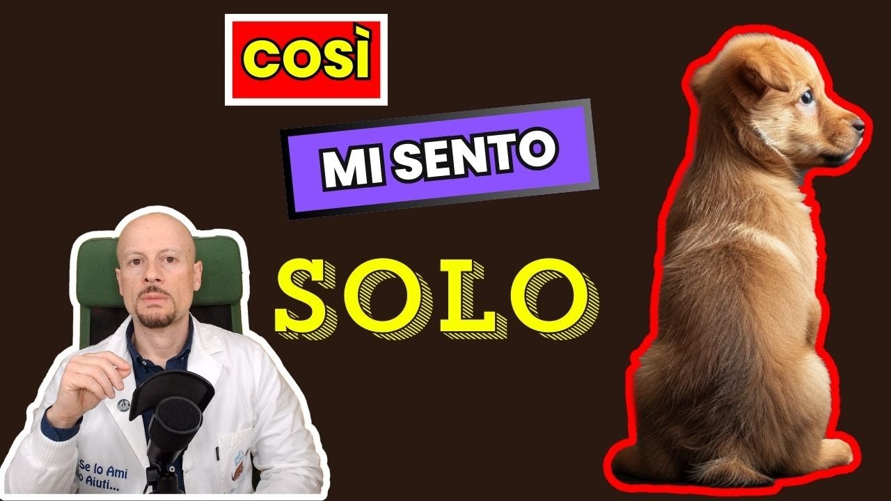 6 Cose che il cane odia di te