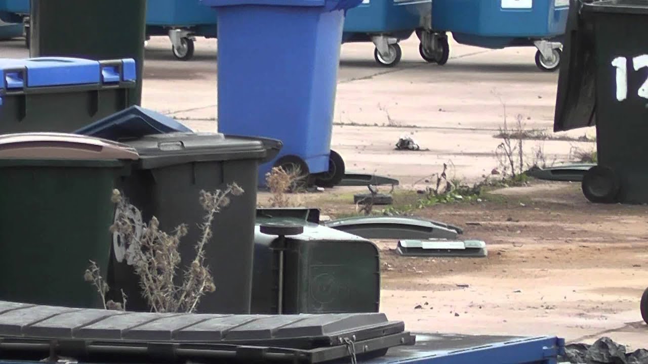 Adventure with James: The Wheelie Bin Sancutary