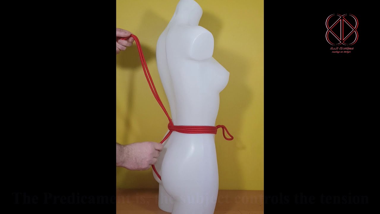 predicament hip harmess