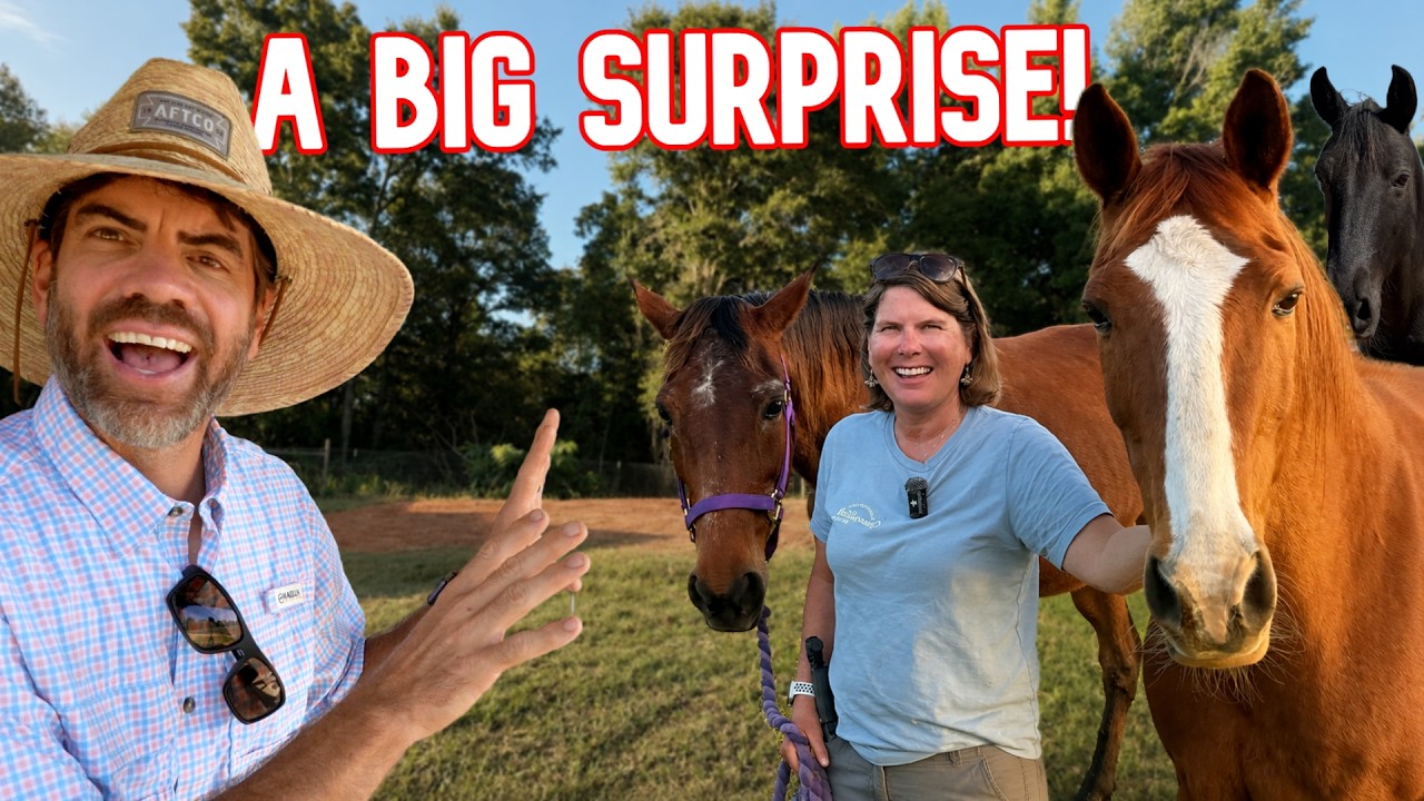 The Horses Have No Idea What&rsquo;s Coming!