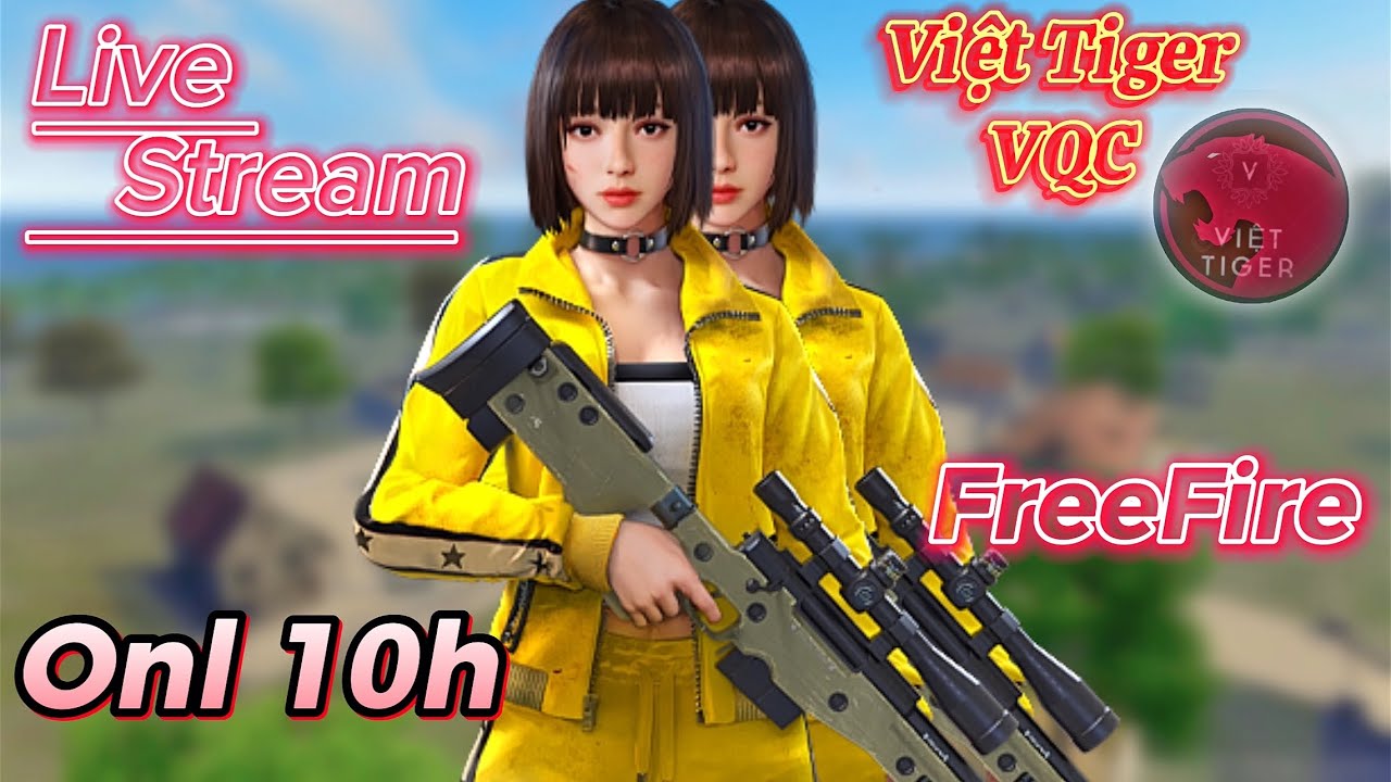 Team Code Leo Thách Đấuuu | Viet Tiger VQC