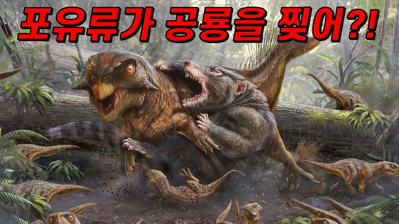 공룡을 사냥한 포유류, 레페노마무스(ft.공룡을 잡아먹었던 개구리?)