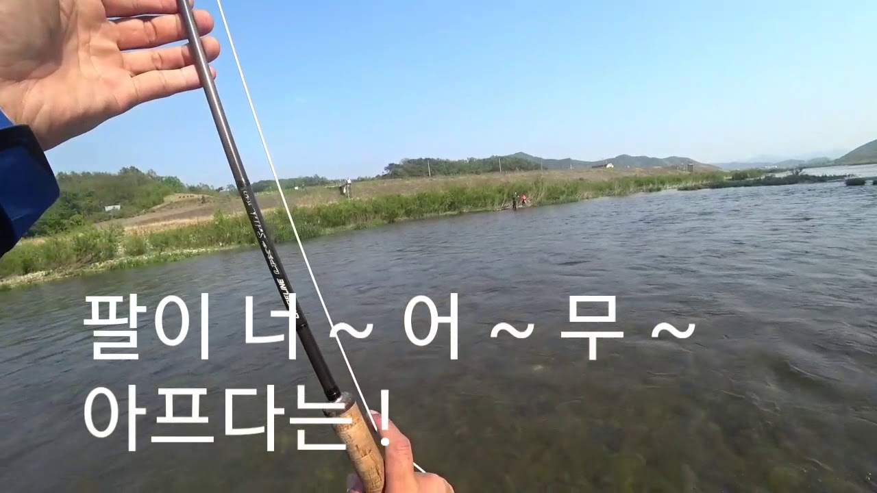 Korean river fly-fishing for (skin carp/steed barbel)누치플라이피싱