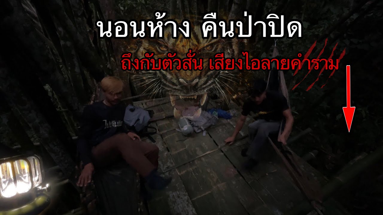 กลับมาขัดห้างกอไผ่!ในคืนป่าปิดที่เงียบผิดปกติ?หรือมันอาจเป็นเพราะ!เสียงๆนี้