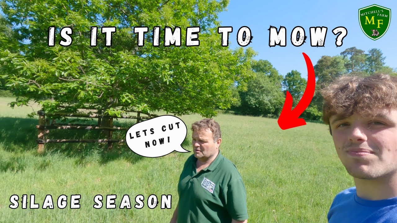 SILAGE SEASON IS HERE!