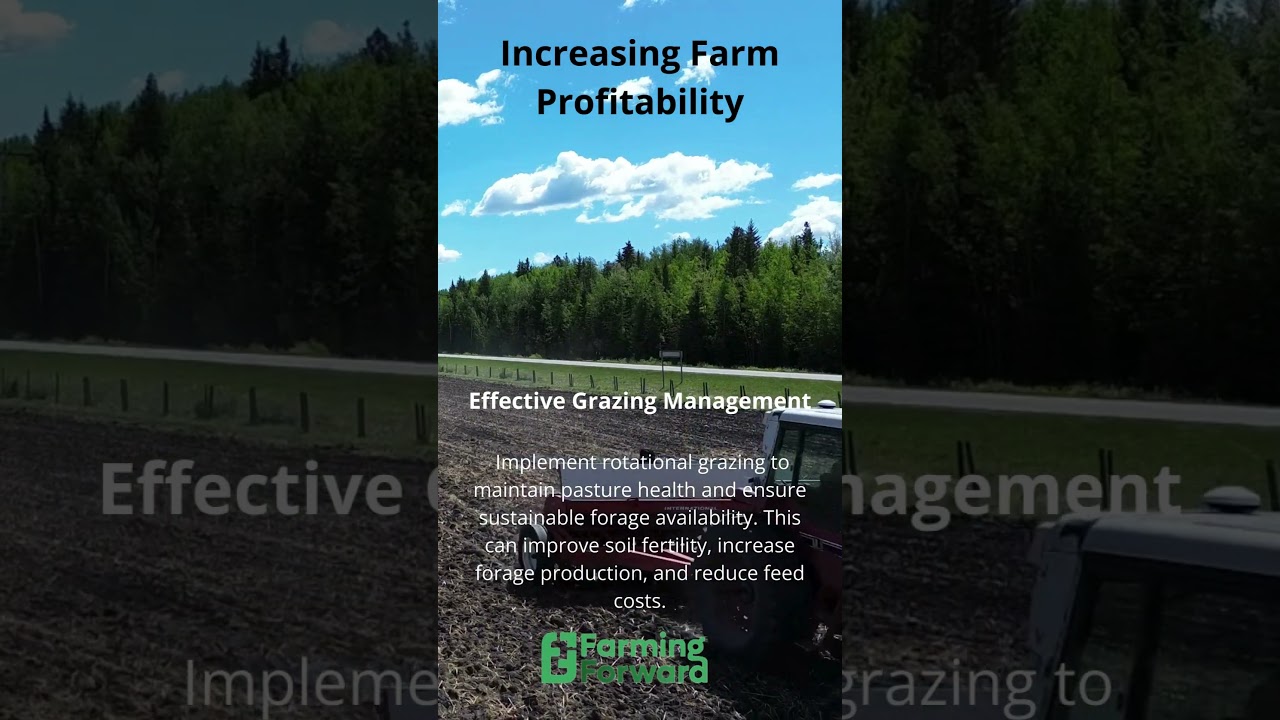 Increasing Farm Productivity : Effective Grazing Management #farming #cattlecare  #cattlefarming