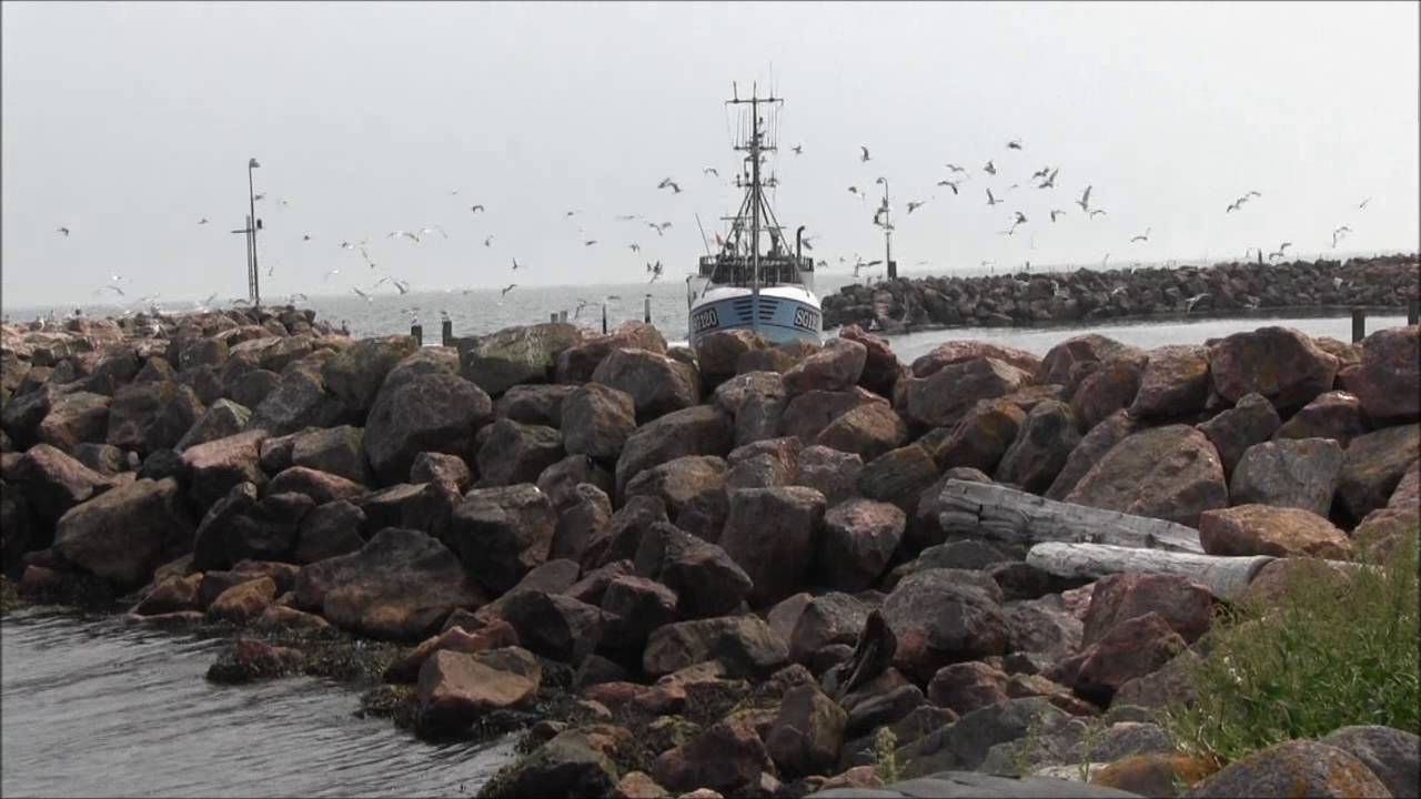 SPODSBJERG HAVN SOMMEREN 2016