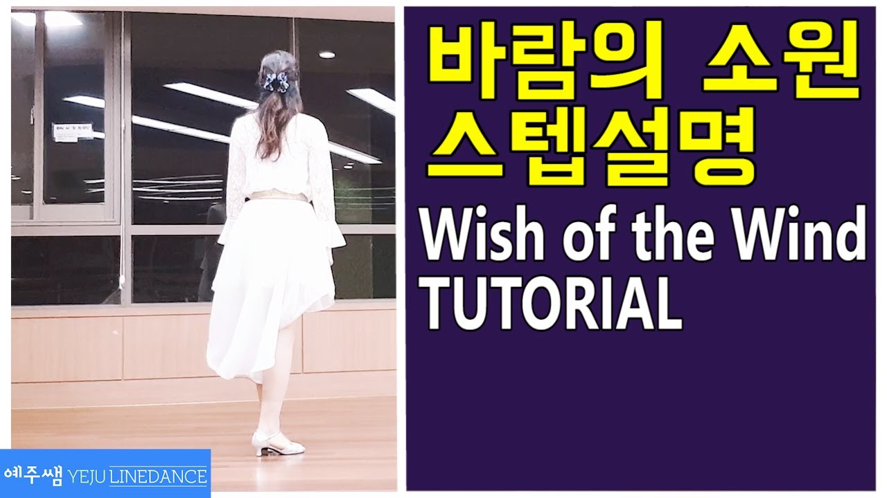 바람의 소원 라인댄스 스텝설명 (Wish of the Wind Line Dance Tutorial)