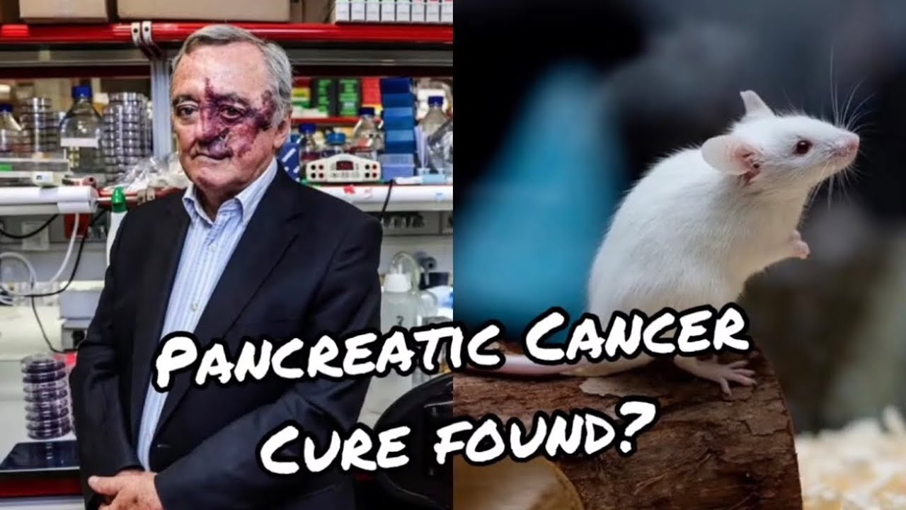 Pancreatic Cancer Cure Found?! 