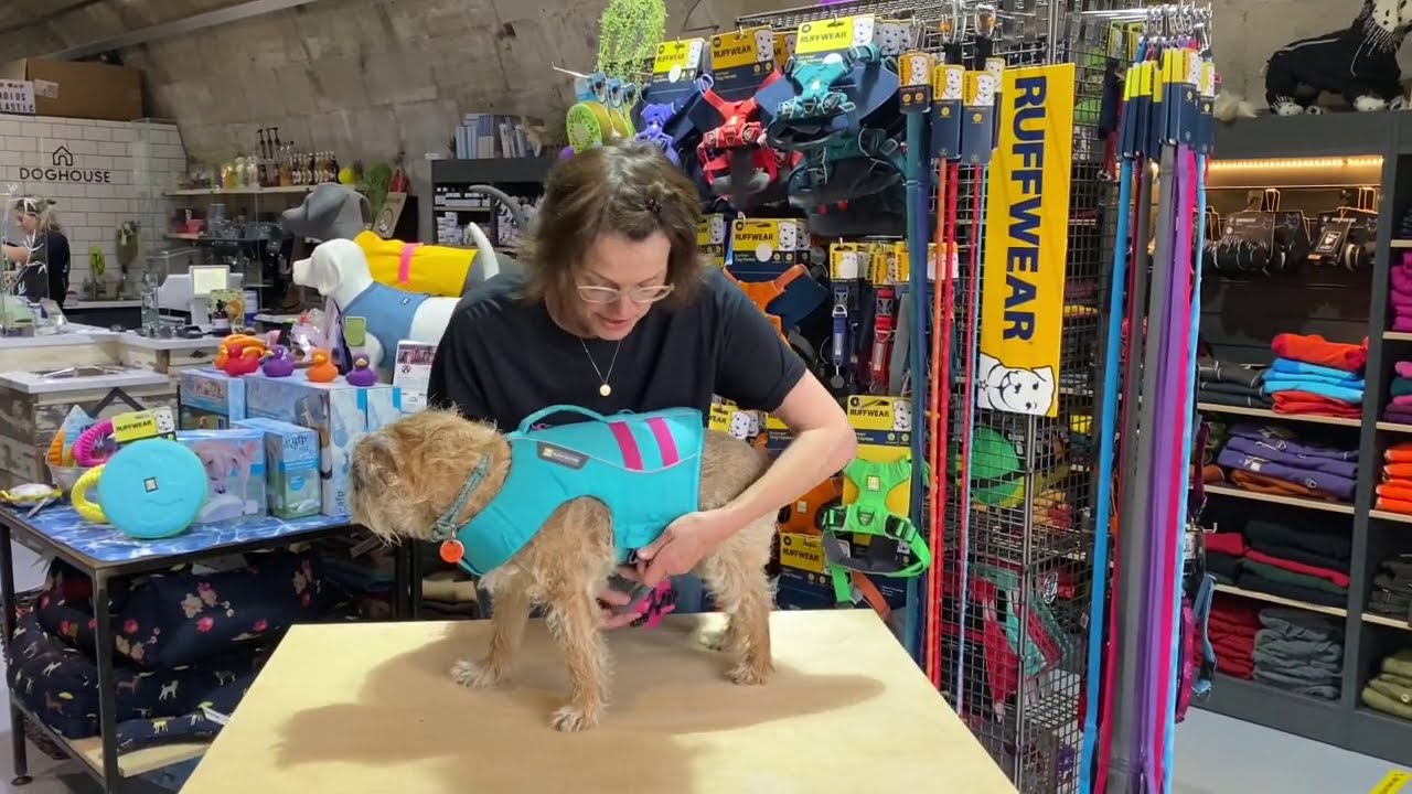 How to Fit the Ruffwear Float Coat and Why It's Great! | Doghouse