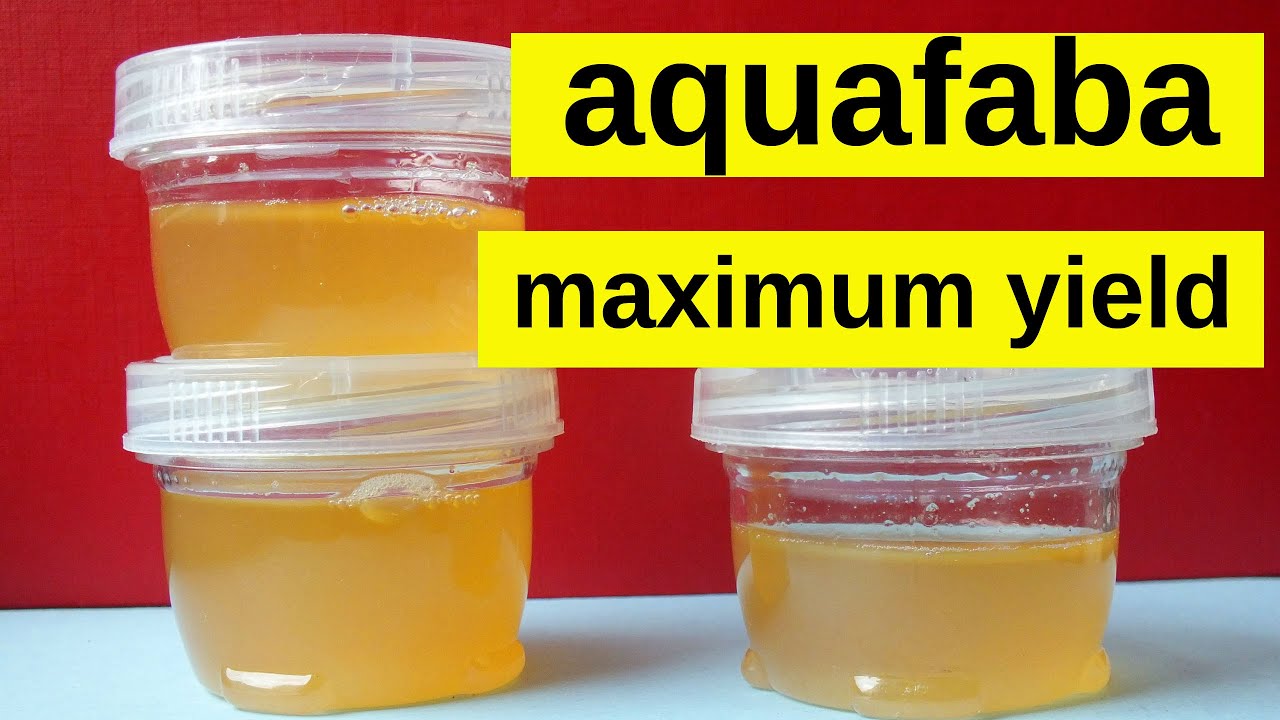 HOW TO MAKE CHICKPEA AQUAFABA - MAXIMUM YIELD! Vegan & Plant Based Egg Replacer for Baking + Cooking