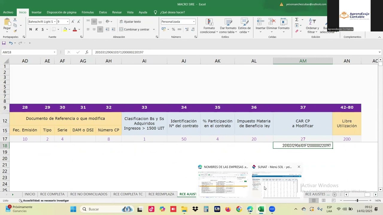 🖥️AJUSTES POSTERIORES DEL SIRE 2025📊