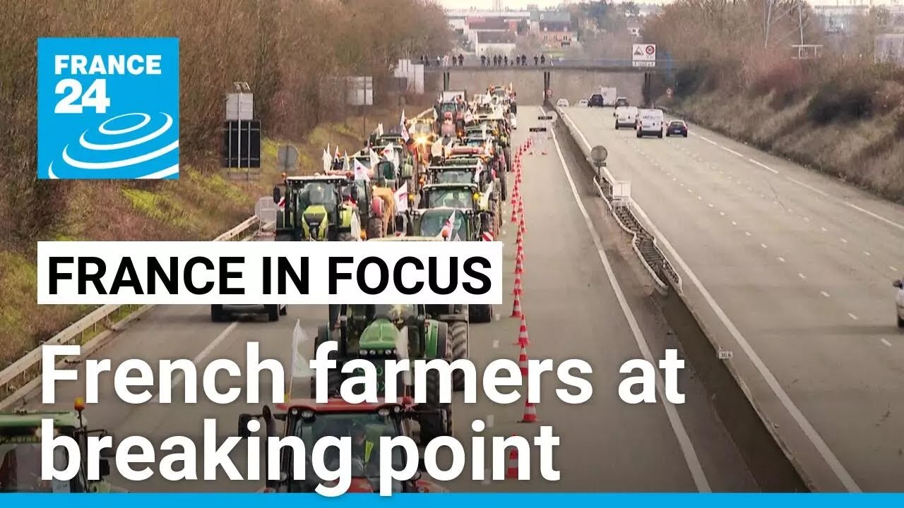 One year after protests, French farming still in crisis • FRANCE 24 English