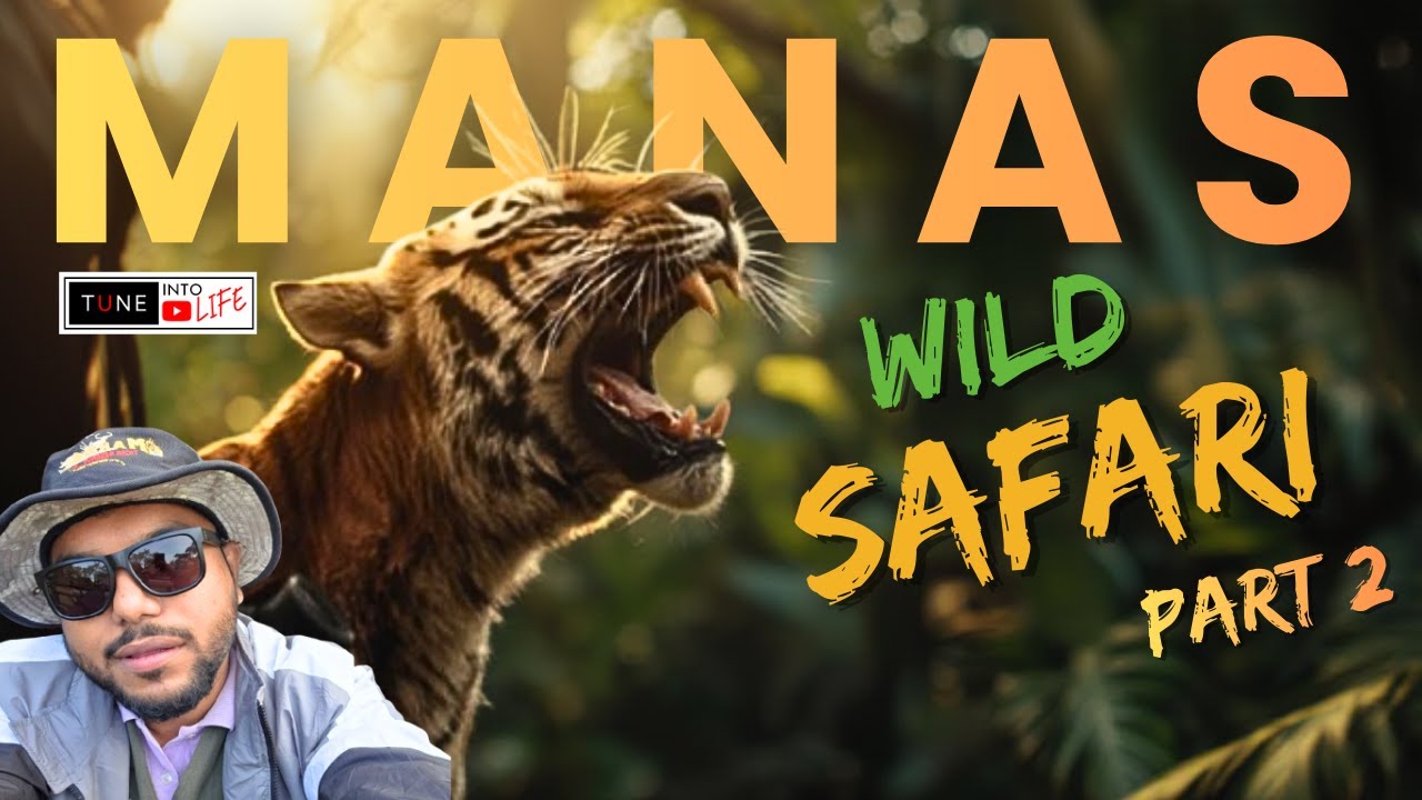 MANAS ll Глава 2 ll Дикое сафари в национальном парке Манас #assam #manasnationalpark