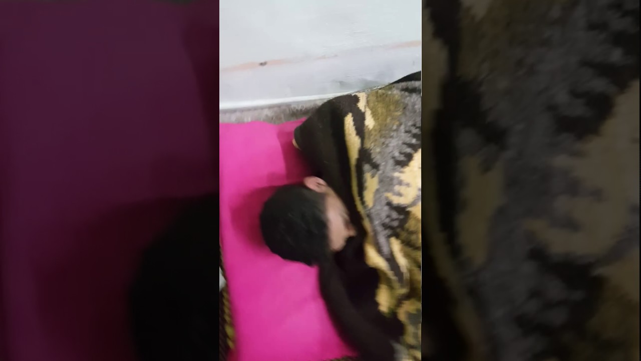 تحشيش طلاب الاقسام الداخلية كلية التقنية الإدارية كوفه 😂😂