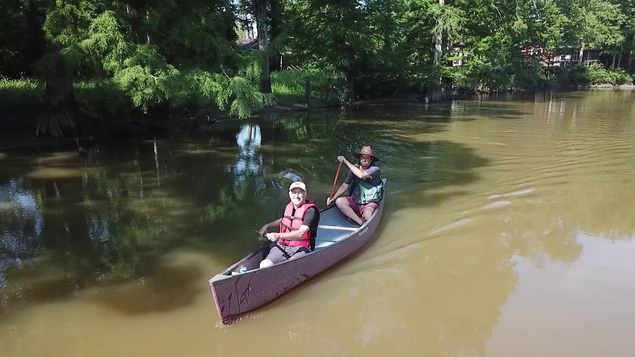Southern Illinois Treasures  Cache River Wetlands 2020