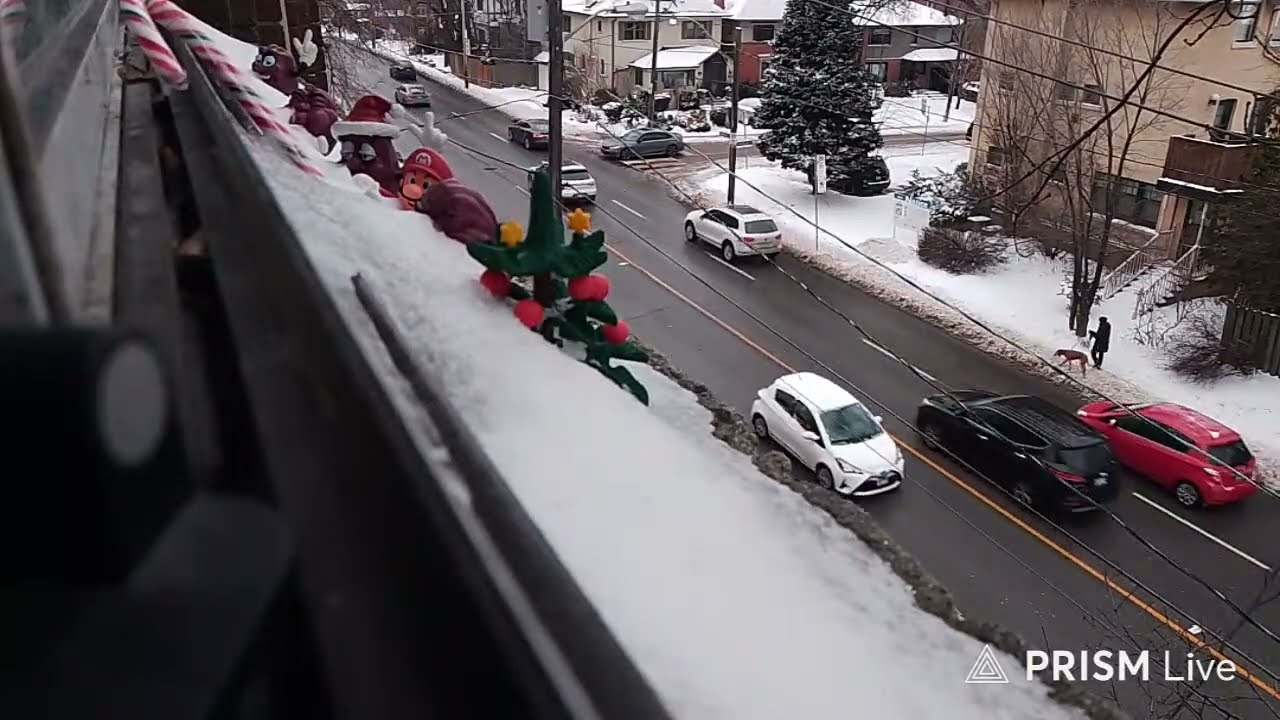 ASMR Toronto Canada Live view chat stream sounds of Bathurst Street 7 bus Sun