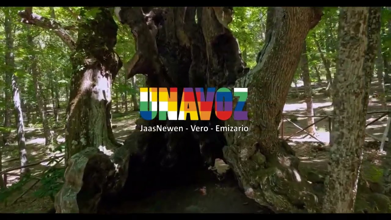 Una voz- Emizario/Vero Acosta/Jaas Newen