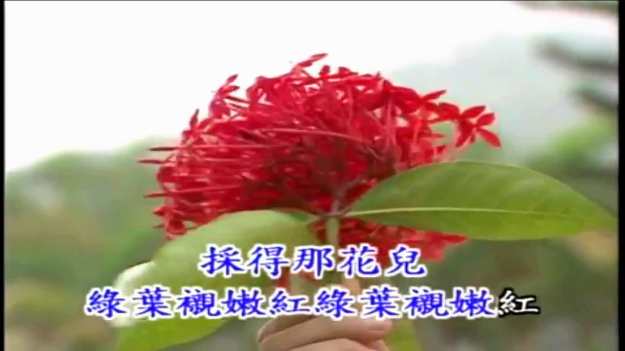 韓寶儀 馬蘭山歌【KARAOKE】Han Bao Yi『MALAN SHAN GE』馬藺姑娘 臺灣馬蘭山地民謠80年代甜歌皇後百萬暢銷經典國語懷舊金曲新馬歌後華語老歌精選流行好歌甜美柔情