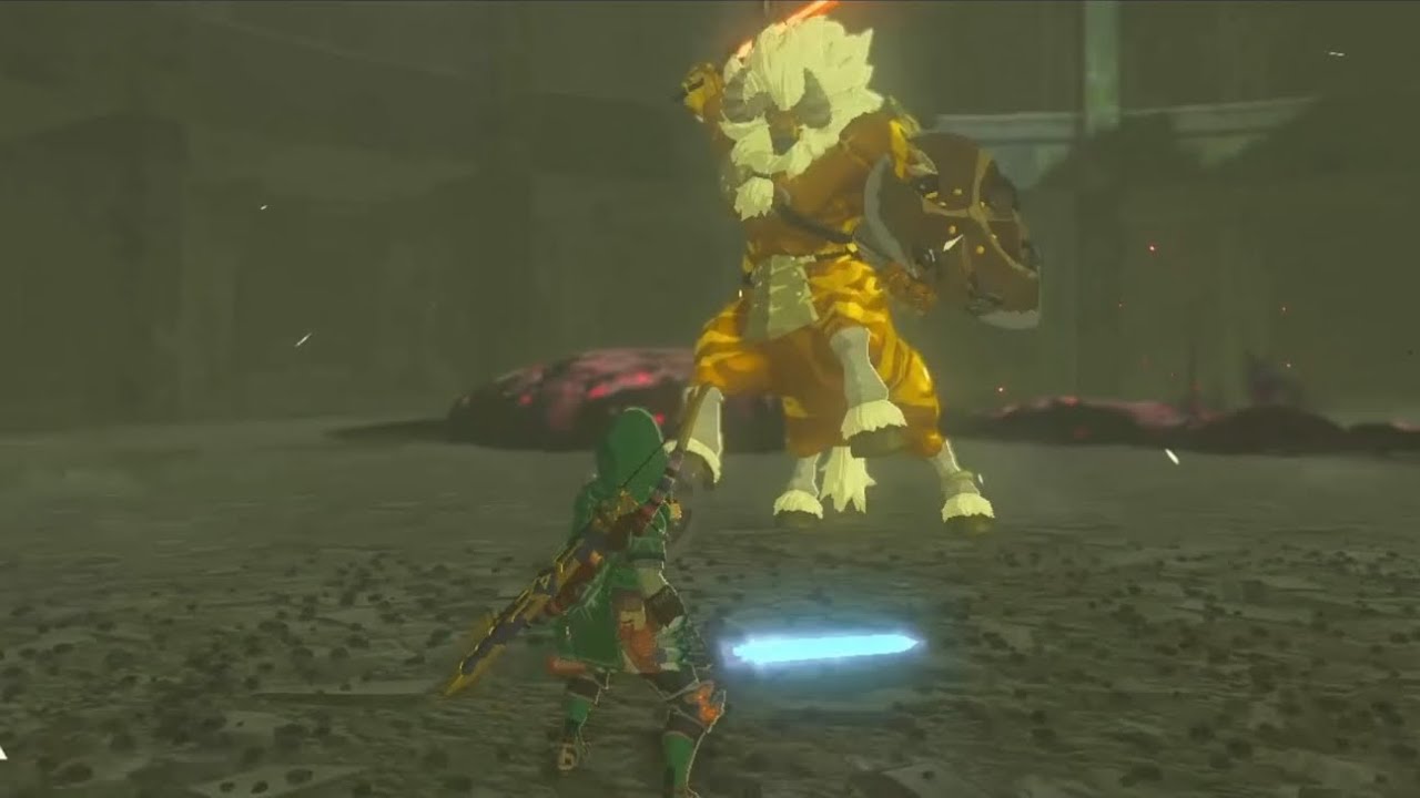 Tout mes clip combat botw réunis, ON FÊTE LES 75 ABOS !!!