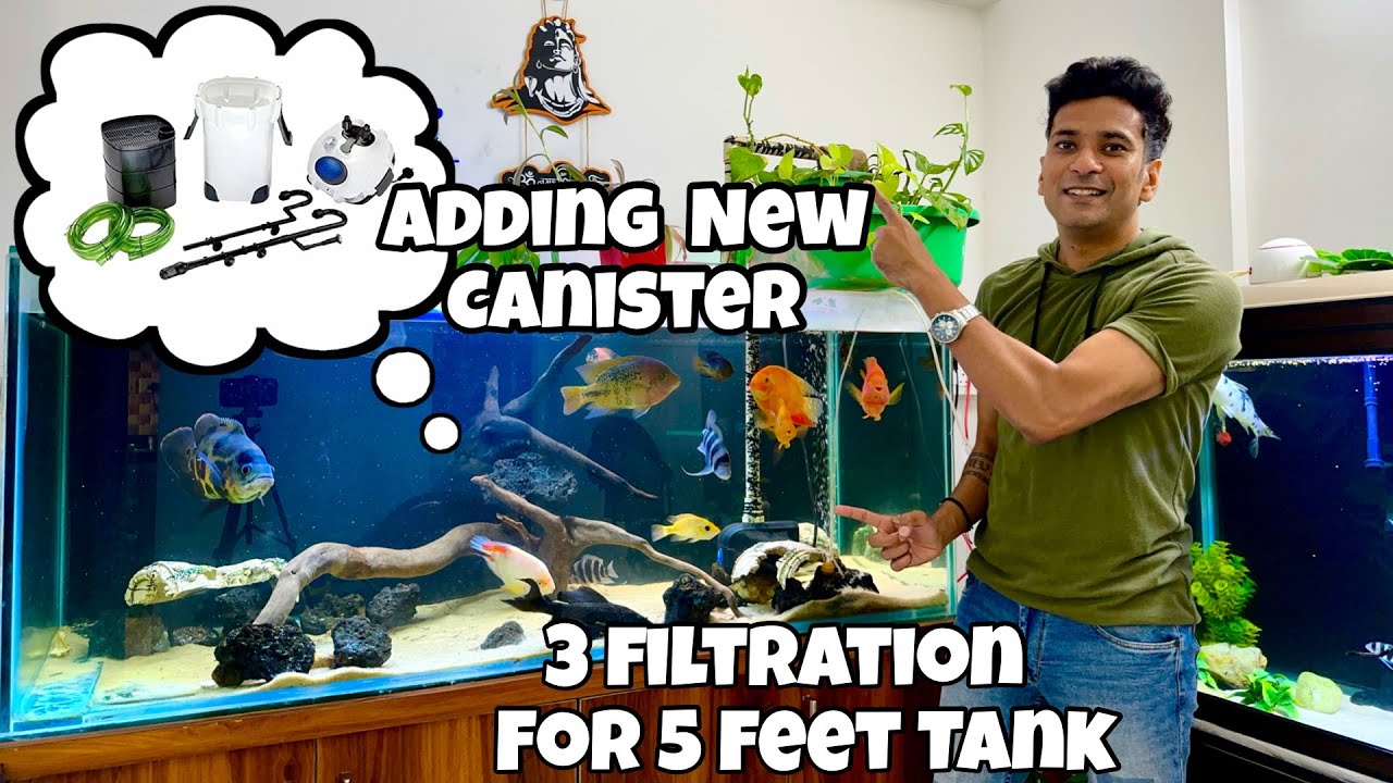 *Adding New Aquarium Canister to 5 Feet Tank* | Sunsun Canister HW 304 B 