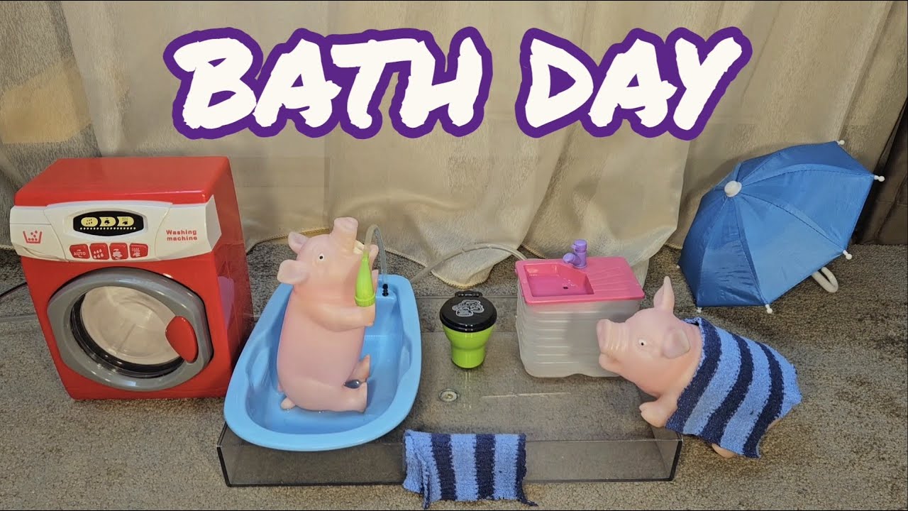 Bath Day by Happy Pigs TV (water problems, washing machine, foam bath) 20k subs