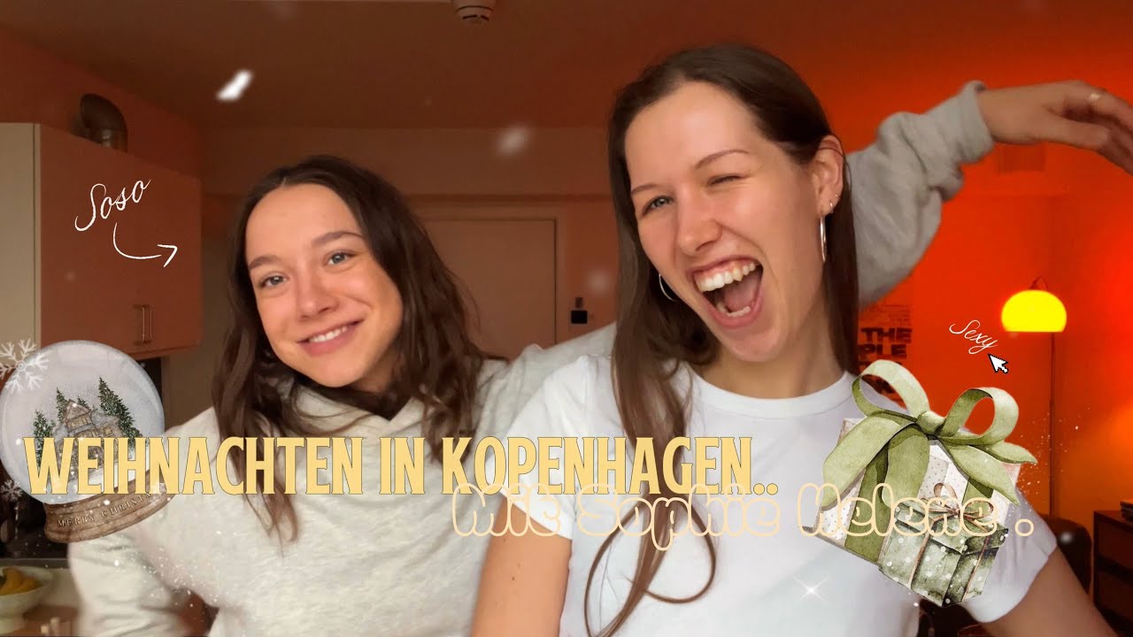Weihnachten in Kopenhagen 🫂🪿| Cozy Winter Vlog mit @sophiehelene 